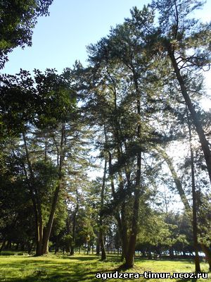 Парк в Агудзере